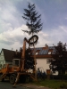 img00164-20110429-1446