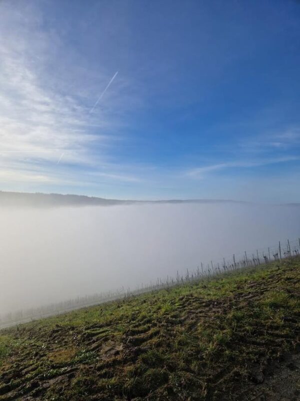 Dertingen im Nebel. Foto: Kathleen Friedrich